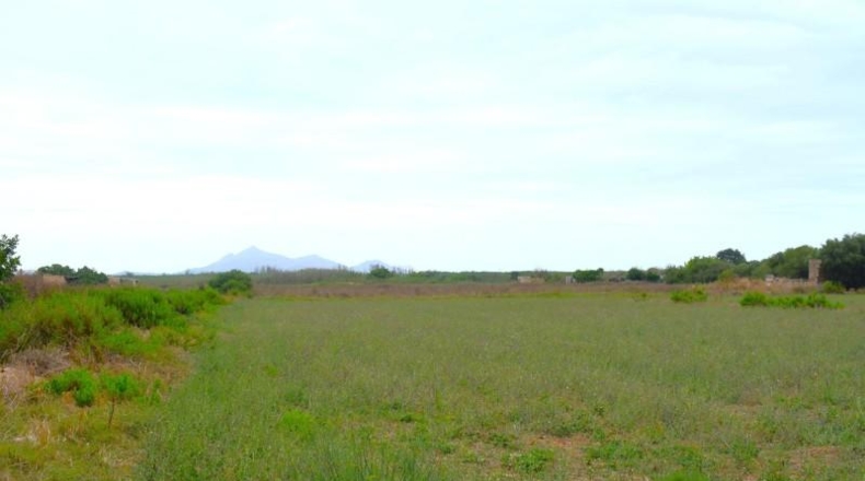 Balearic Islands - Muro - 5569m2