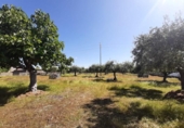Suelo urbano en venta en la España, Albalá, ref: TR375104 foto