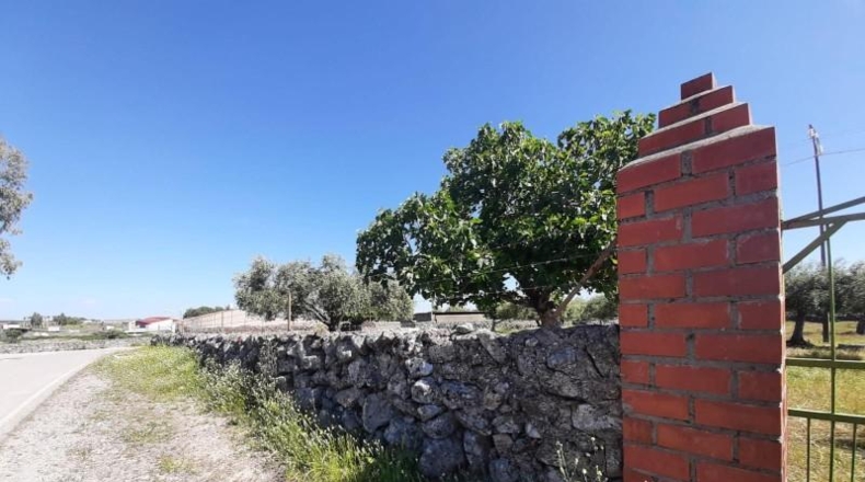 Cáceres - Albalá - 3000m2