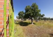 Suelo urbano en venta en la España, Albalá, ref: TR375104 foto