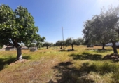 Suelo urbano en venta en la España, Albalá, ref: TR375104 foto