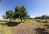 Suelo urbano en venta en la España, Albalá, ref: TR375104 foto