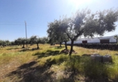 Suelo urbano en venta en la España, Albalá, ref: TR375104 foto