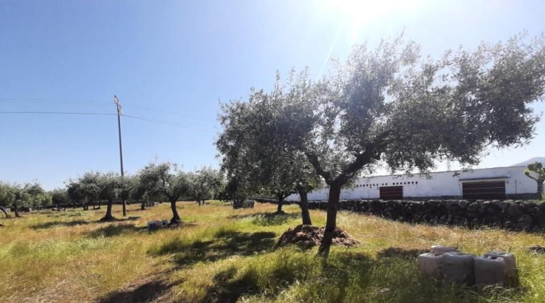 Cáceres - Albalá - 3000m2