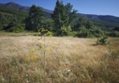 Terreno no urbanizable en venta en la España, Hervás, ref: TR247395 foto