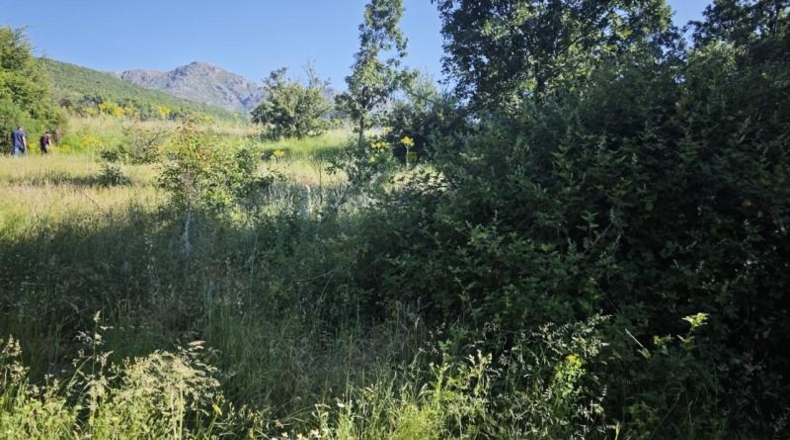 Cáceres - Эрвас - 20326m2
