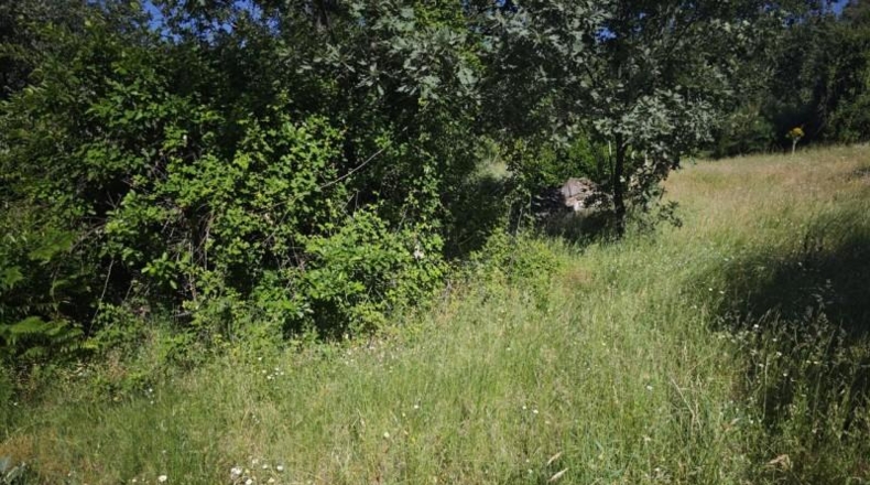 Cáceres - Эрвас - 20326m2
