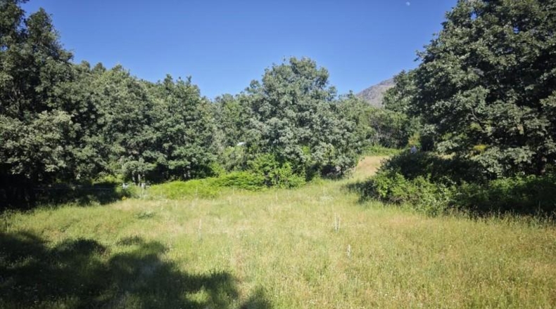 Cáceres - Эрвас - 20326m2