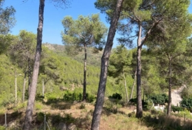 Foto 16