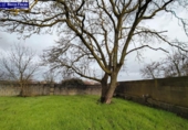 Country house with land for sale on España, Ponferrada, ref: TR399779 photo