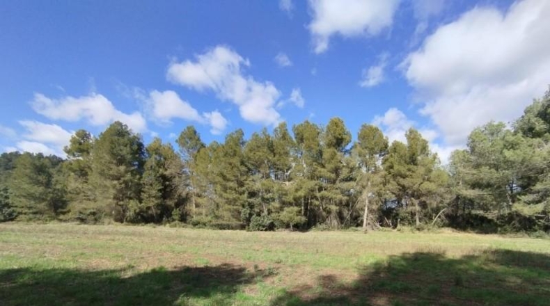 Teruel - Arens de Lledó - 37639m2