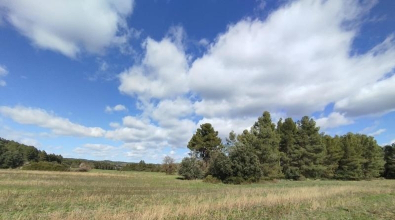 Teruel - Arens de Lledó - 37639m2