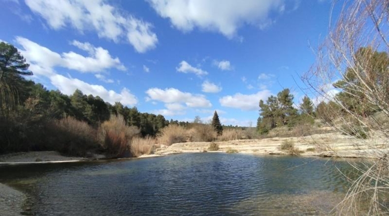 Teruel - Arens de Lledó - 37639m2
