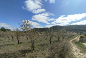 Calaceit 410&nbsp;m² 