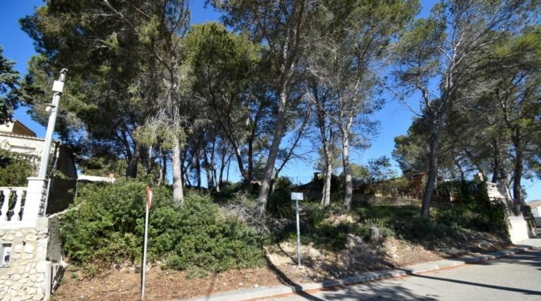 Barcelona - Olivella - 824m2