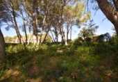 Suelo urbano en venta en la España, Olivella, ref: TR389091 foto