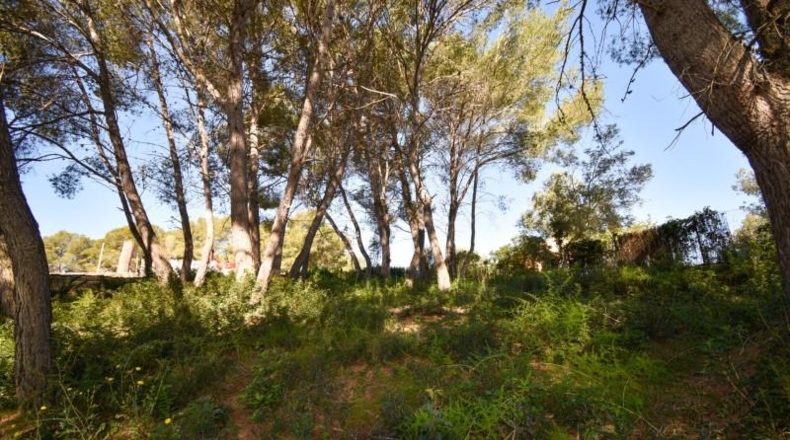 Barcelona - Olivella - 824m2