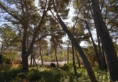 Suelo urbano en venta en la España, Olivella, ref: TR389091 foto