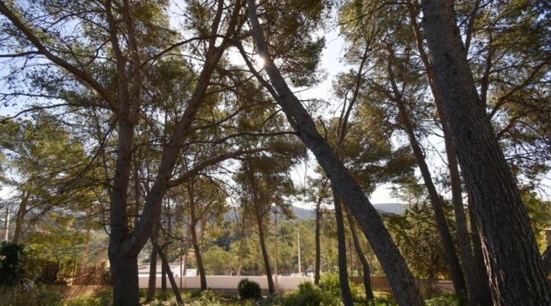 Barcelona - Olivella - 824m2