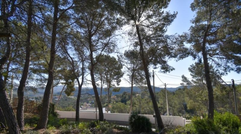 Barcelona - Olivella - 824m2