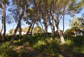 Olivella 824&nbsp;m²