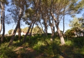 Suelo urbano en venta en la España, Olivella, ref: TR389091 foto