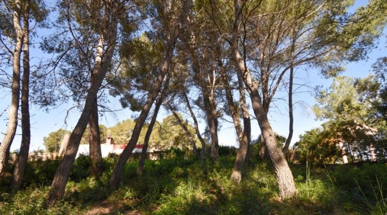Barcelona - Olivella - 824m2
