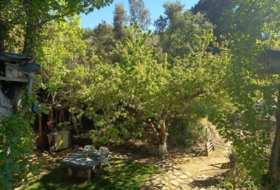 Sansoáin 906&nbsp;m²