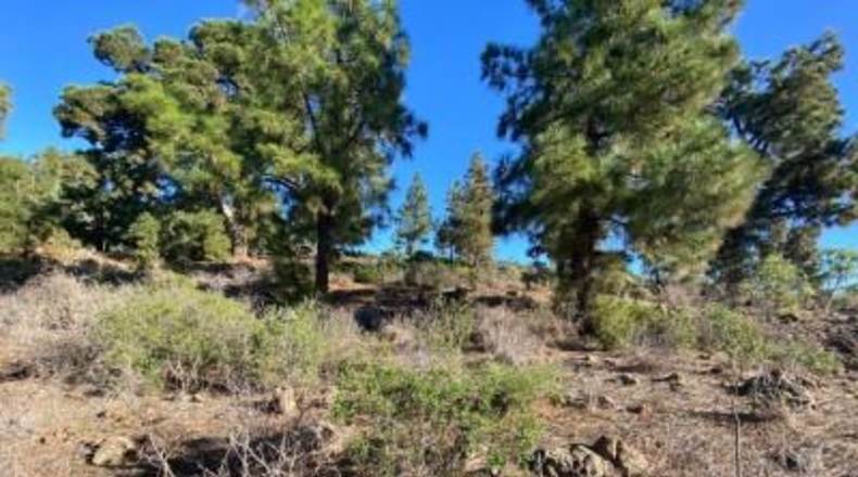 Santa Creu de Tenerife - Granadilla de Abona - 2930m2