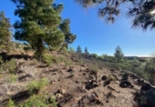 Terreno no urbanizable en venta en la España, Granadilla de Abona, ref: TR407355 foto