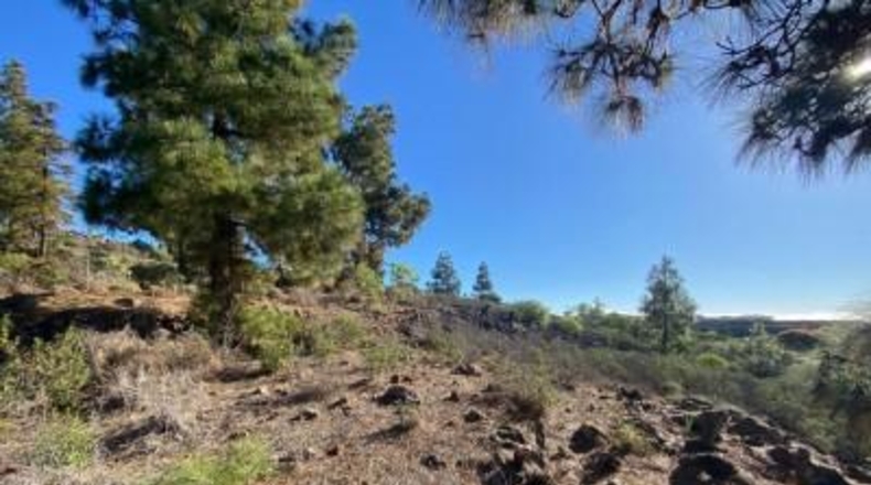 Santa Creu de Tenerife - Granadilla de Abona - 2930m2