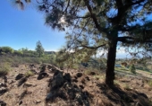 Terreno no urbanizable en venta en la España, Granadilla de Abona, ref: TR407355 foto