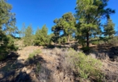 Terreno no urbanizable en venta en la España, Granadilla de Abona, ref: TR407355 foto