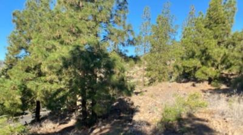 Santa Creu de Tenerife - Granadilla de Abona - 2930m2