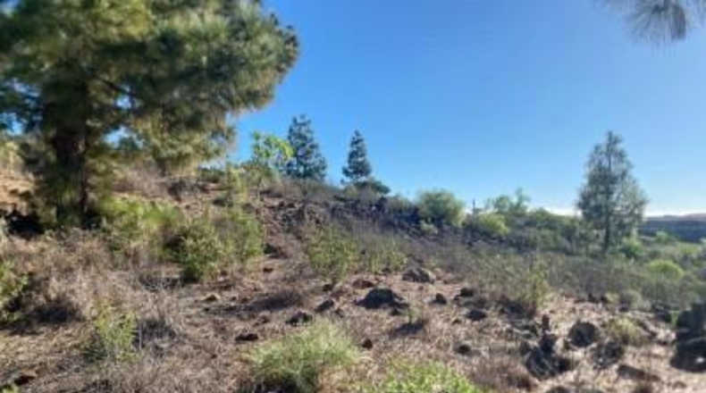 Santa Creu de Tenerife - Granadilla de Abona - 2930m2