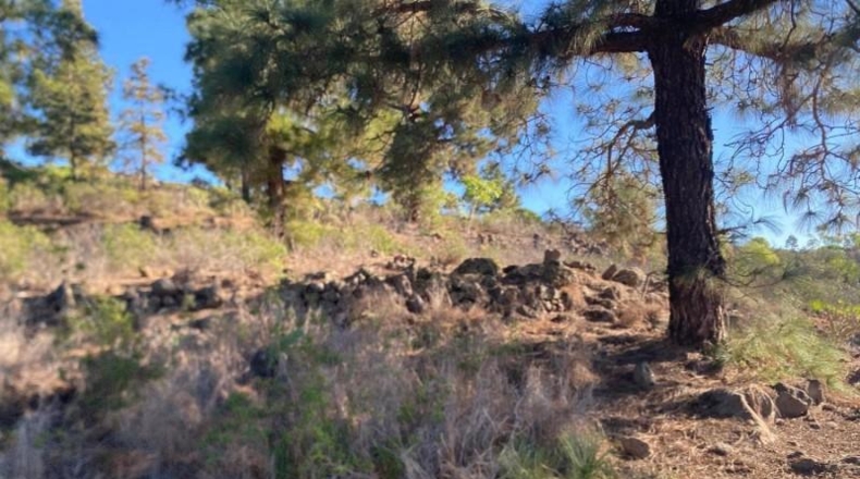 Santa Creu de Tenerife - Granadilla de Abona - 2930m2