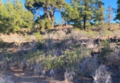 Terreno no urbanizable en venta en la España, Granadilla de Abona, ref: TR407355 foto
