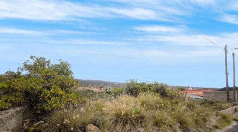 Santa Cruz de Tenerife - Güímar - 4000m2