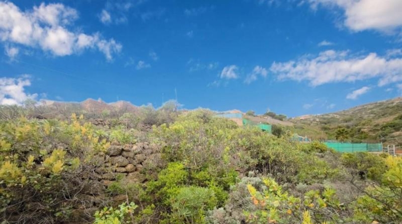 Santa Cruz de Tenerife - Güímar - 4000m2