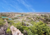 Terreno no urbanizable en venta en la España, Güímar, ref: TR396441 foto