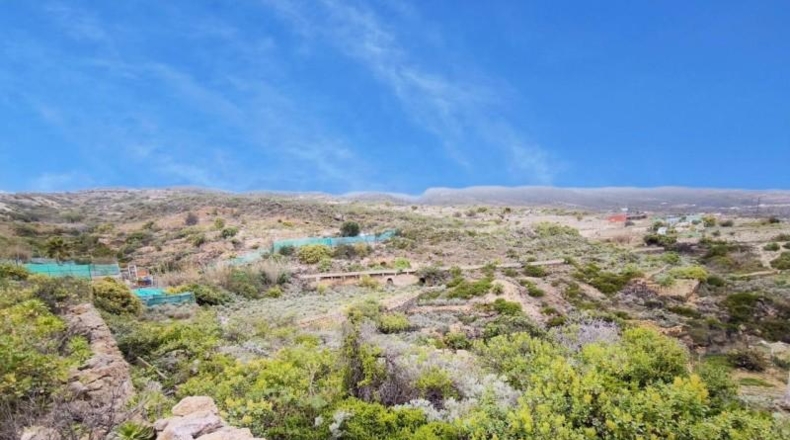 Santa Cruz de Tenerife - Güímar - 4000m2