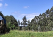 Land suitable for development for sale on España, Villabáñez, ref: TR345333 photo
