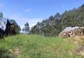Land suitable for development for sale on España, Villabáñez, ref: TR345333 photo