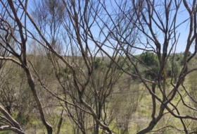 El Viso de San Juan 26&nbsp;m²