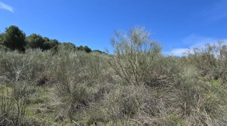Toledo - El Viso de San Juan - 26m2