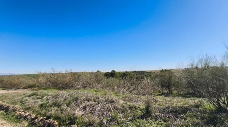 Toledo - El Viso de San Juan - 26m2
