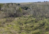 Terreno no urbanizable en venta en la España, El Viso de San Juan, ref: TR402870 foto