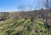 Terreno no urbanizable en venta en la España, El Viso de San Juan, ref: TR402870 foto
