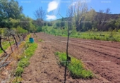 Terreno no urbanizable en venta en la España, La Nava, ref: TR404719 foto