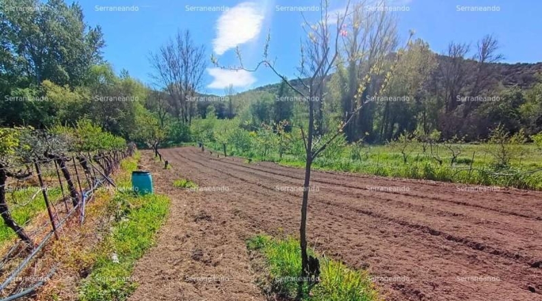 Huelva - La Nava - 1358m2